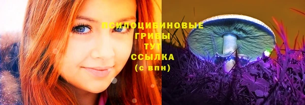 таблы Осинники