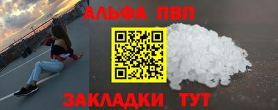 гашик Камышлов