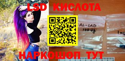 гашик Камышлов
