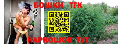 гашик Камышлов