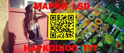 гашик Камышлов
