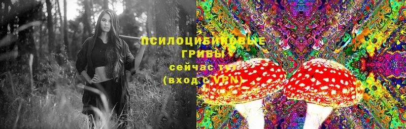 Галлюциногенные грибы MAGIC MUSHROOMS  Москва 