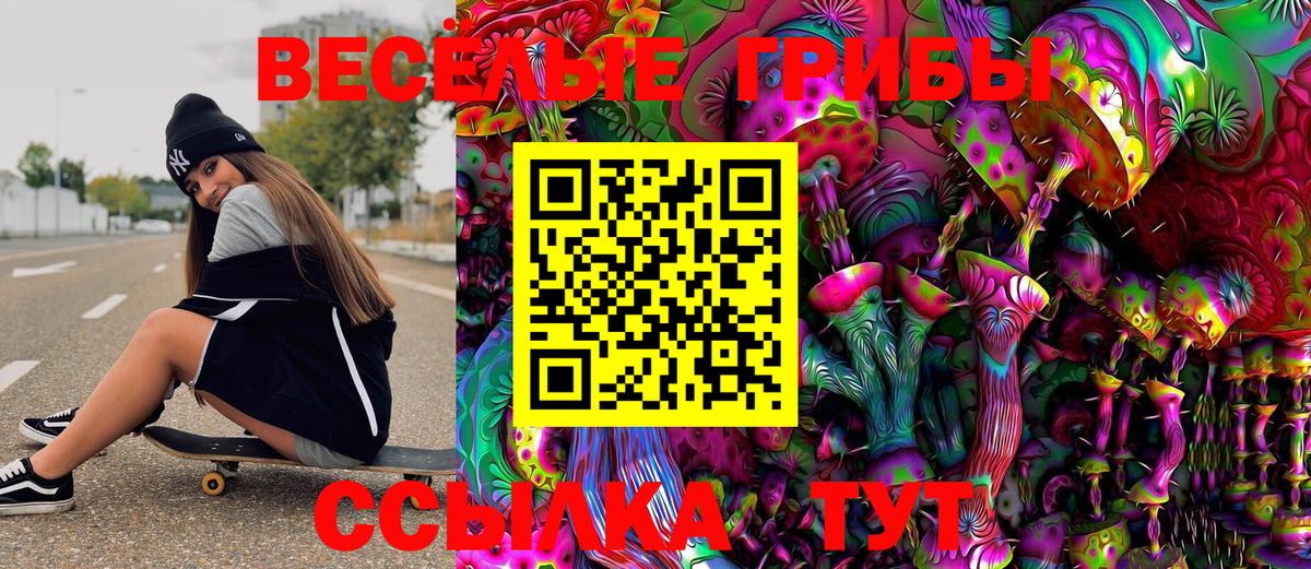 Галлюциногенные грибы GOLDEN TEACHER Москва